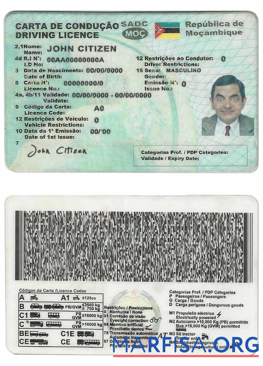 Blank Mozambique driving license real example